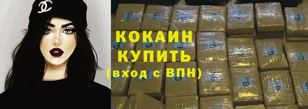 индика Абдулино
