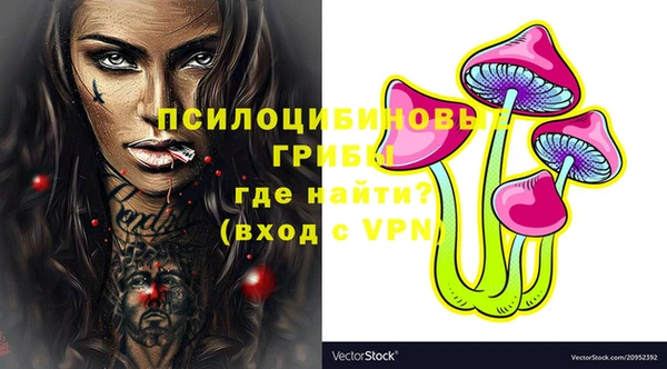 индика Абдулино