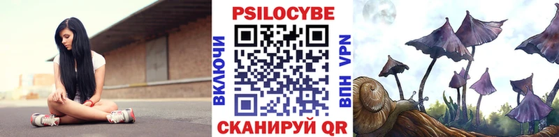 Галлюциногенные грибы мухоморы  как найти   Котельнич 
